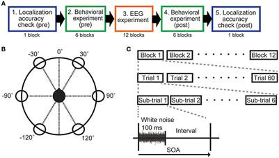 Improving the Performance of an Auditory Brain-Computer Interface Using Virtual Sound Sources by Shortening Stimulus Onset Asynchrony